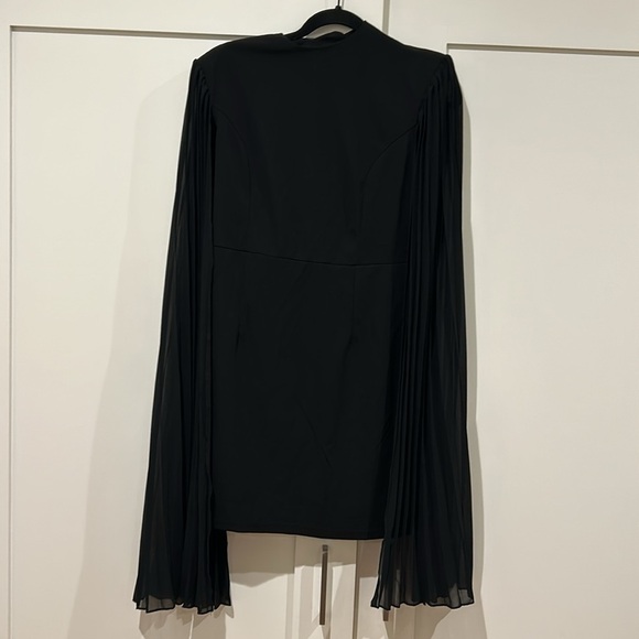Black Pleated Sleeve Dress - Picture 4 of 10